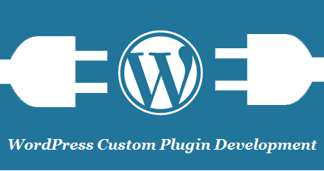 Custom WordPress Plugin Development and Customization